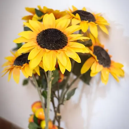 Ca' Francesco * Venice